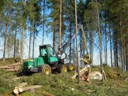 Timber harvest is a common component of forestry